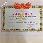 ảnh đính kèm của gia sư