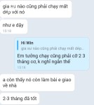 ảnh đính kèm của gia sư