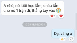 ảnh đính kèm của gia sư