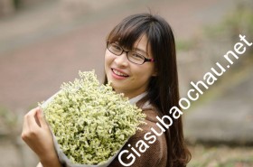 gia sư Hà Nội