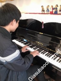 Gia sư giỏi Đại học Sư phạm Nghệ thuật Trung Ương chuyên dạy kèm môn Âm nhạc, Piano - Organ