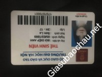 Gia sư giỏi Đại học Hà Nội chuyên dạy kèm môn Tiếng Anh